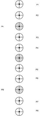 The Quiet Eye and Motor Expertise: Explaining the “Efficiency Paradox”